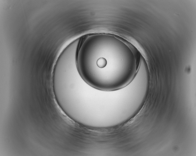 X0000090991388200708091510