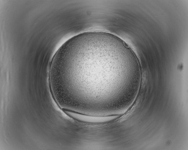 X0000090991390200708091510