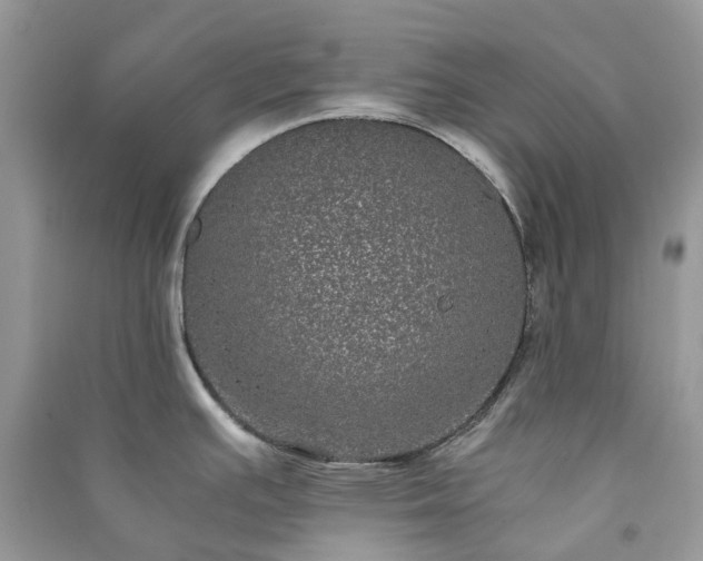 X0000090991391200708091510