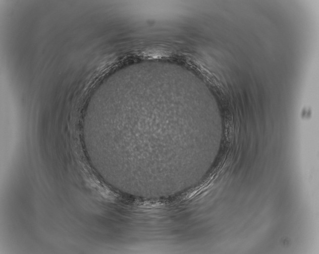 X0000090991393200708091509