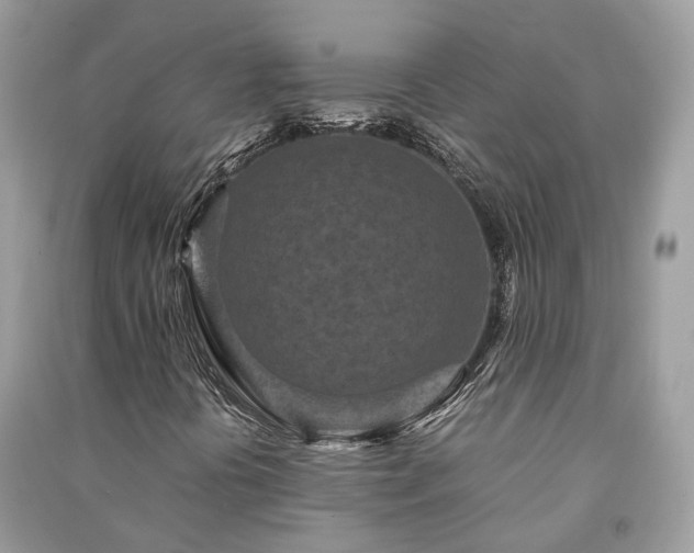 X0000090991394200708091509