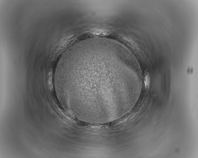 X0000090991396200708091509