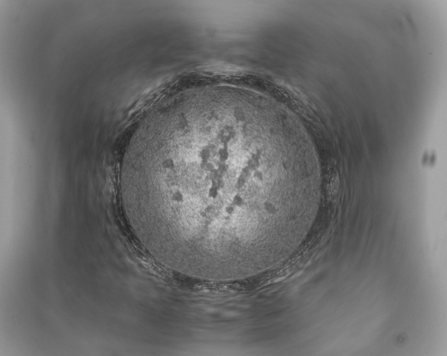 X0000090991397200708091509