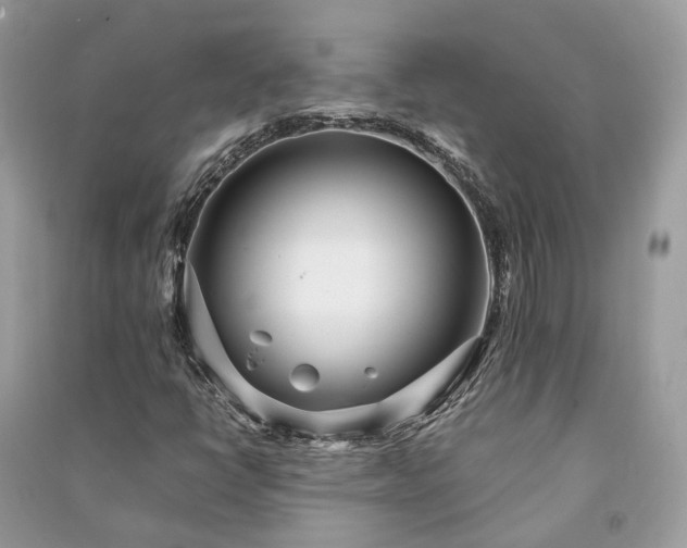 X0000090991398200708091509