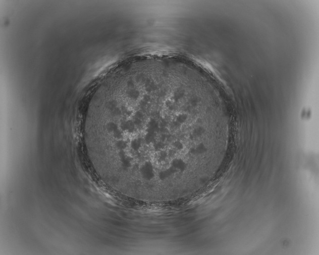 X0000090991399200708091509