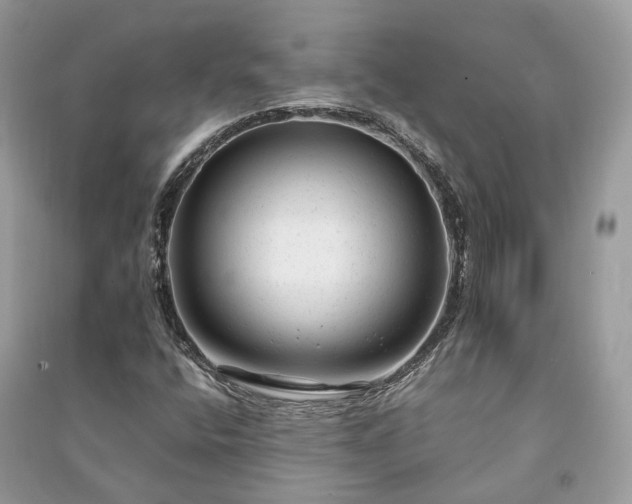 X0000090991400200708091509