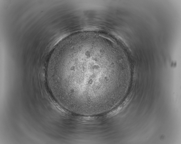 X0000090991401200708091509