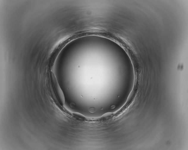 X0000090991402200708091509