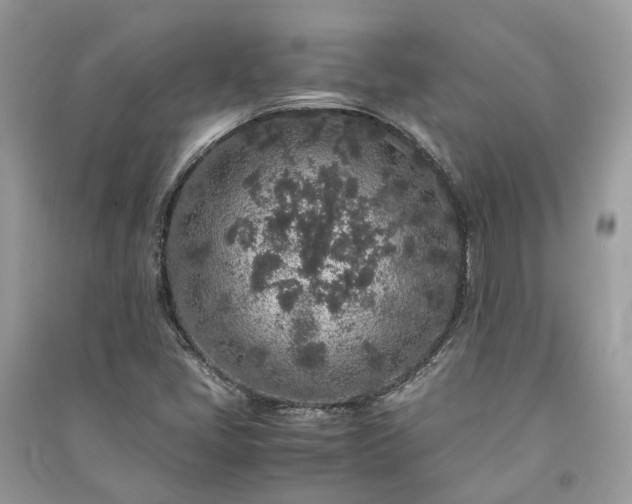 X0000090991405200708091509