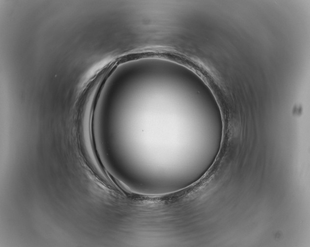 X0000090991406200708091509