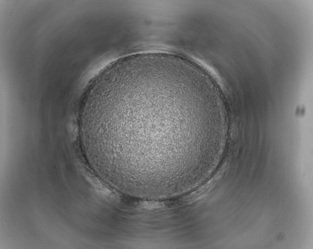 X0000090991407200708091509