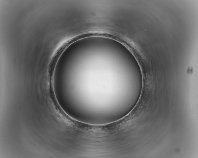 X0000090991408200708091509