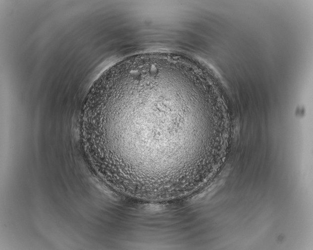 X0000090991409200708091509