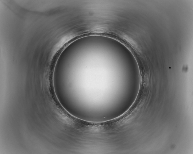 X0000090991410200708091509