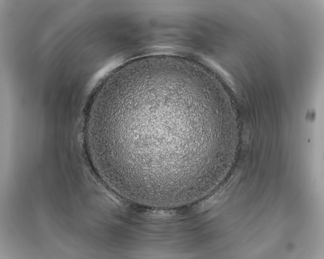 X0000090991411200708091509