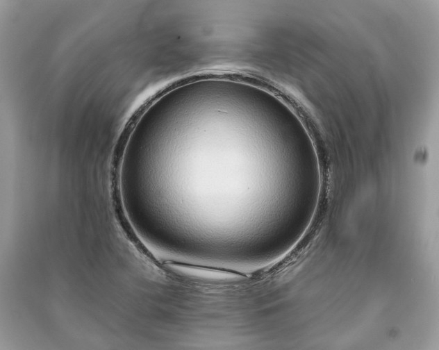 X0000090991412200708091509