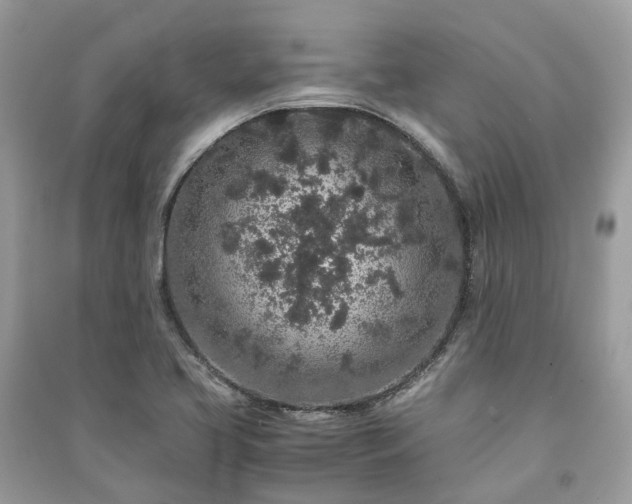 X0000090991413200708091509