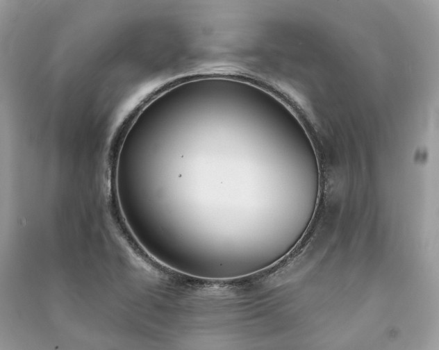 X0000090991414200708091509