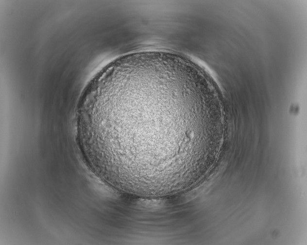 X0000090991415200708091509