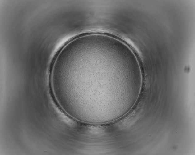 X0000090991416200708091509