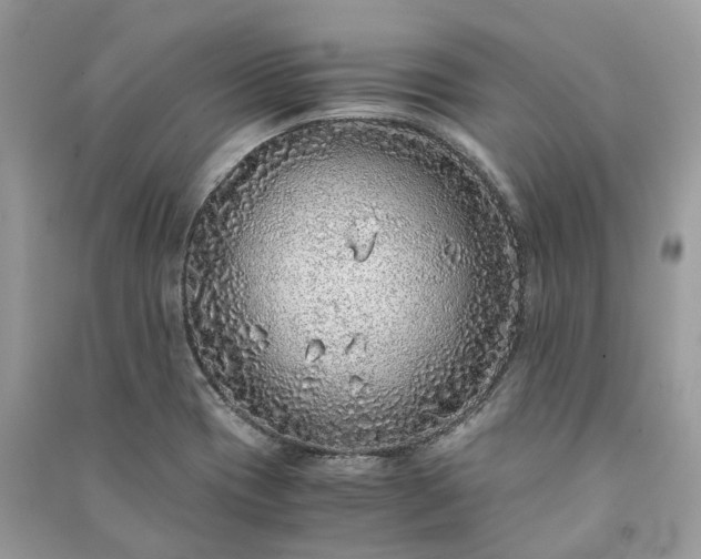 X0000090991417200708091509