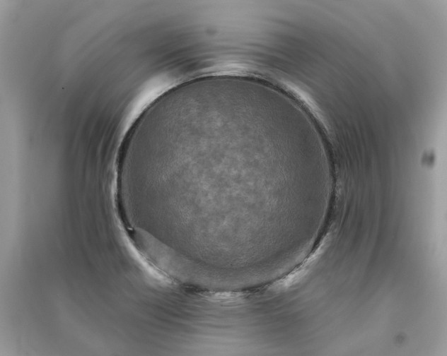 X0000090991418200708091509