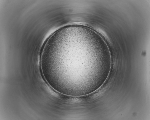 X0000090991420200708091509