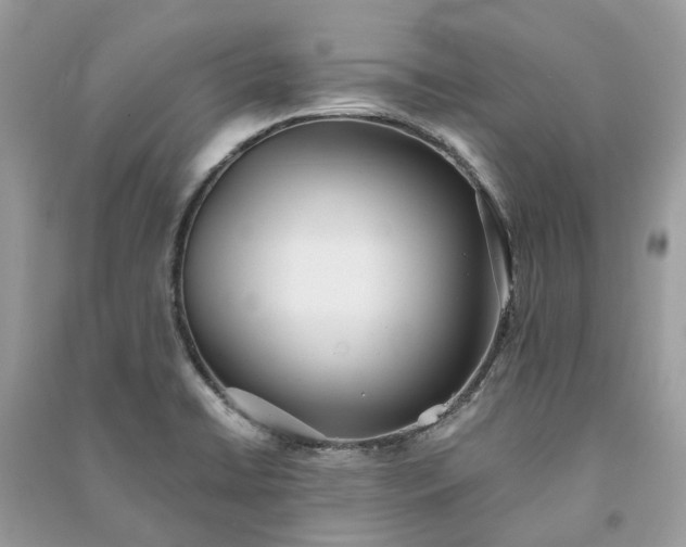 X0000090991422200708091509