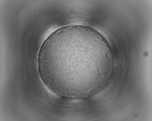 X0000090991423200708091509