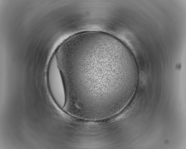 X0000090991424200708091509