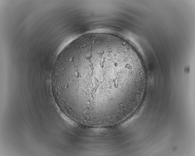 X0000090991425200708091509