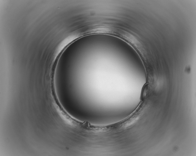 X0000090991426200708091509