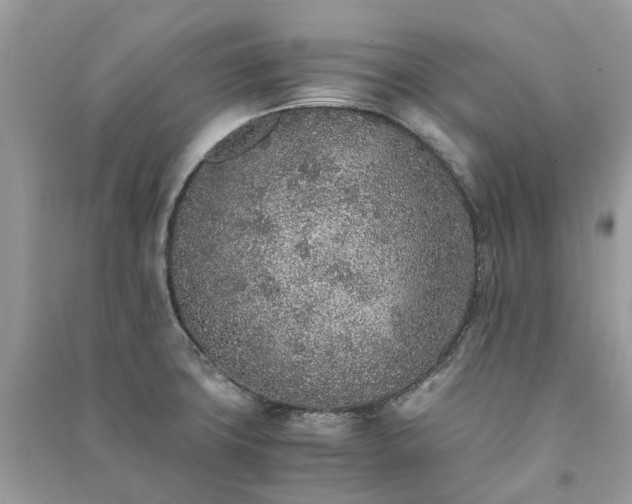 X0000090991427200708091509