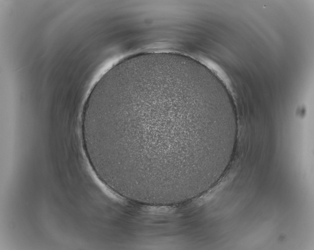 X0000090991429200708091509