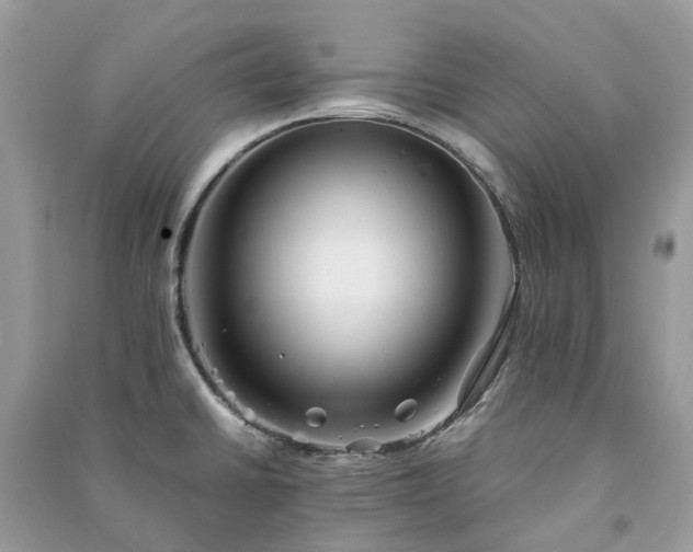 X0000090991430200708091509