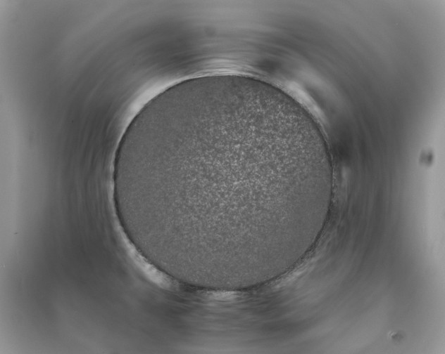 X0000090991431200708091509