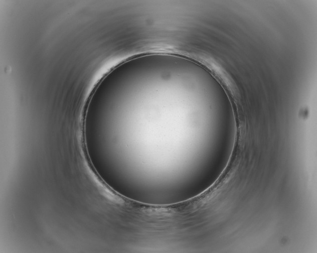 X0000090991432200708091509