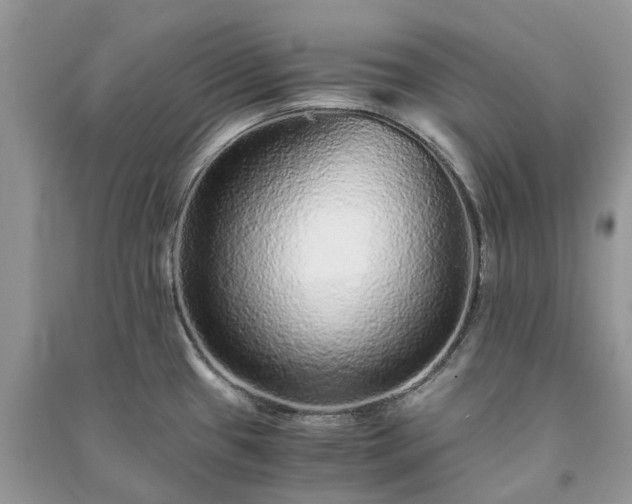 X0000090991433200708091509