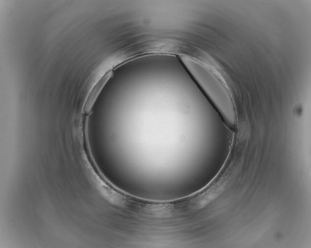 X0000090991434200708091509