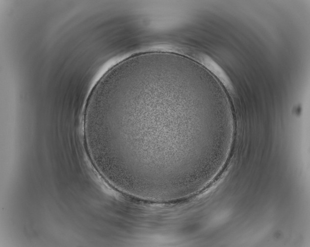 X0000090991436200708091509