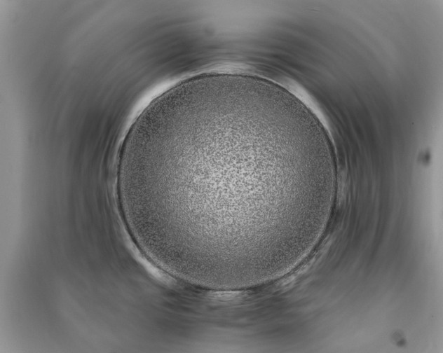 X0000090991437200708091509