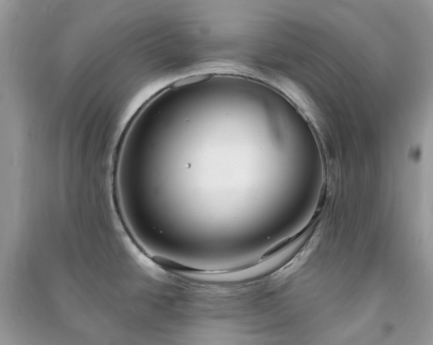 X0000090991438200708091510