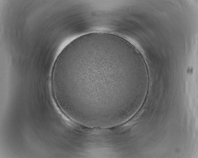 X0000090991440200708091510