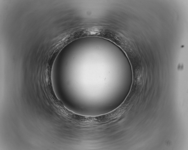 X0000090991442200708091509