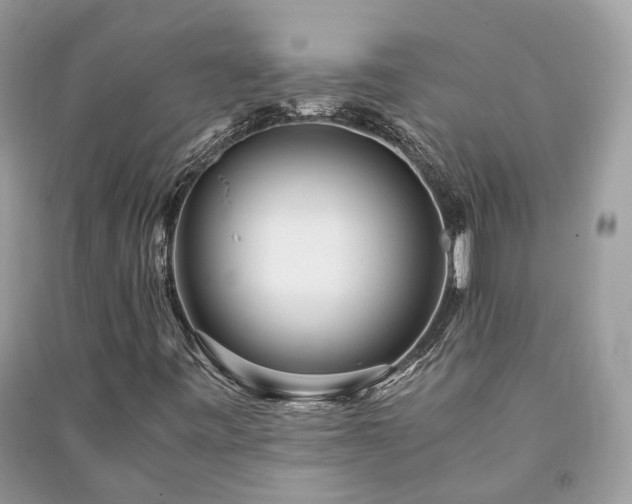 X0000090991443200708091509