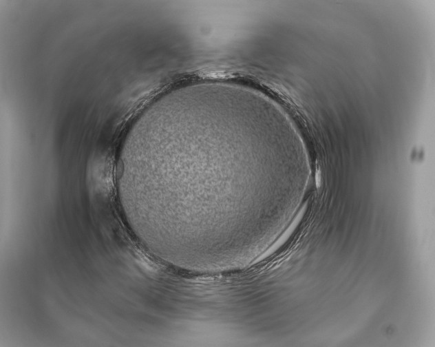 X0000090991444200708091509