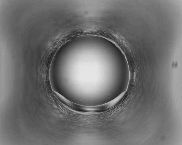 X0000090991445200708091509