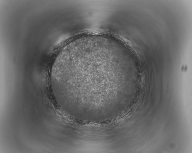 X0000090991446200708091509