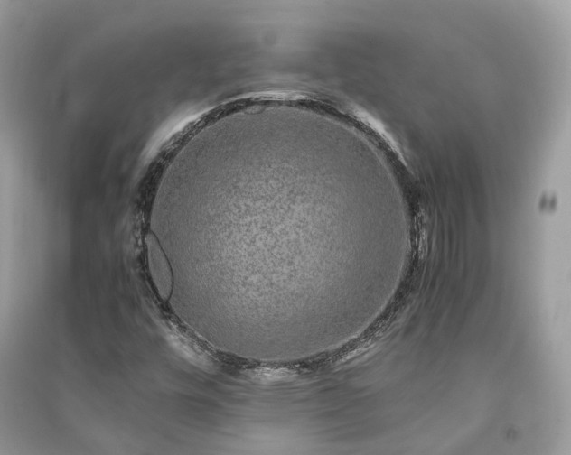 X0000090991448200708091509