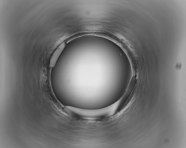 X0000090991449200708091509